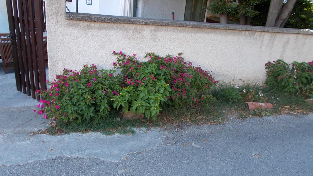 Guest House Accommodation Rupine 普莱曼图拉 外观 照片