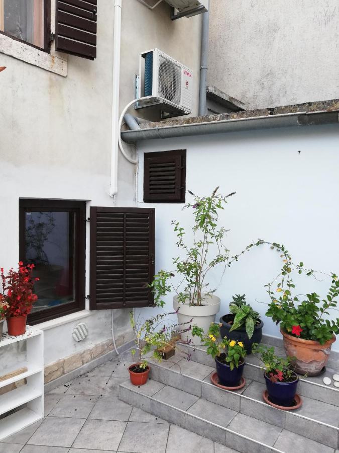 Guest House Accommodation Rupine 普莱曼图拉 外观 照片