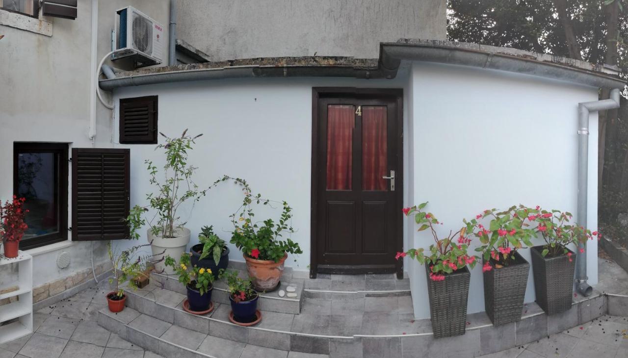 Guest House Accommodation Rupine 普莱曼图拉 外观 照片