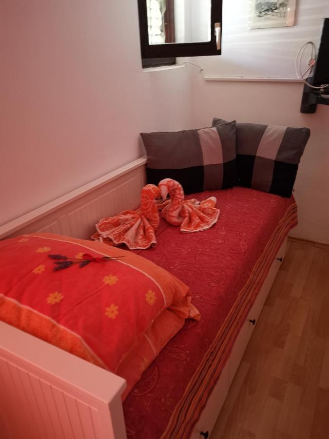 Guest House Accommodation Rupine 普莱曼图拉 外观 照片