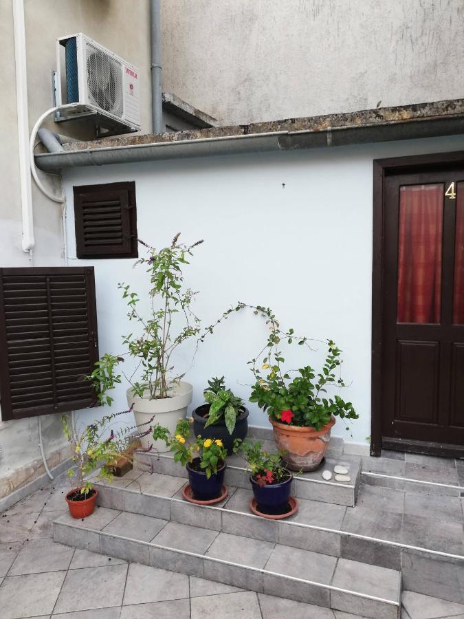 Guest House Accommodation Rupine 普莱曼图拉 外观 照片